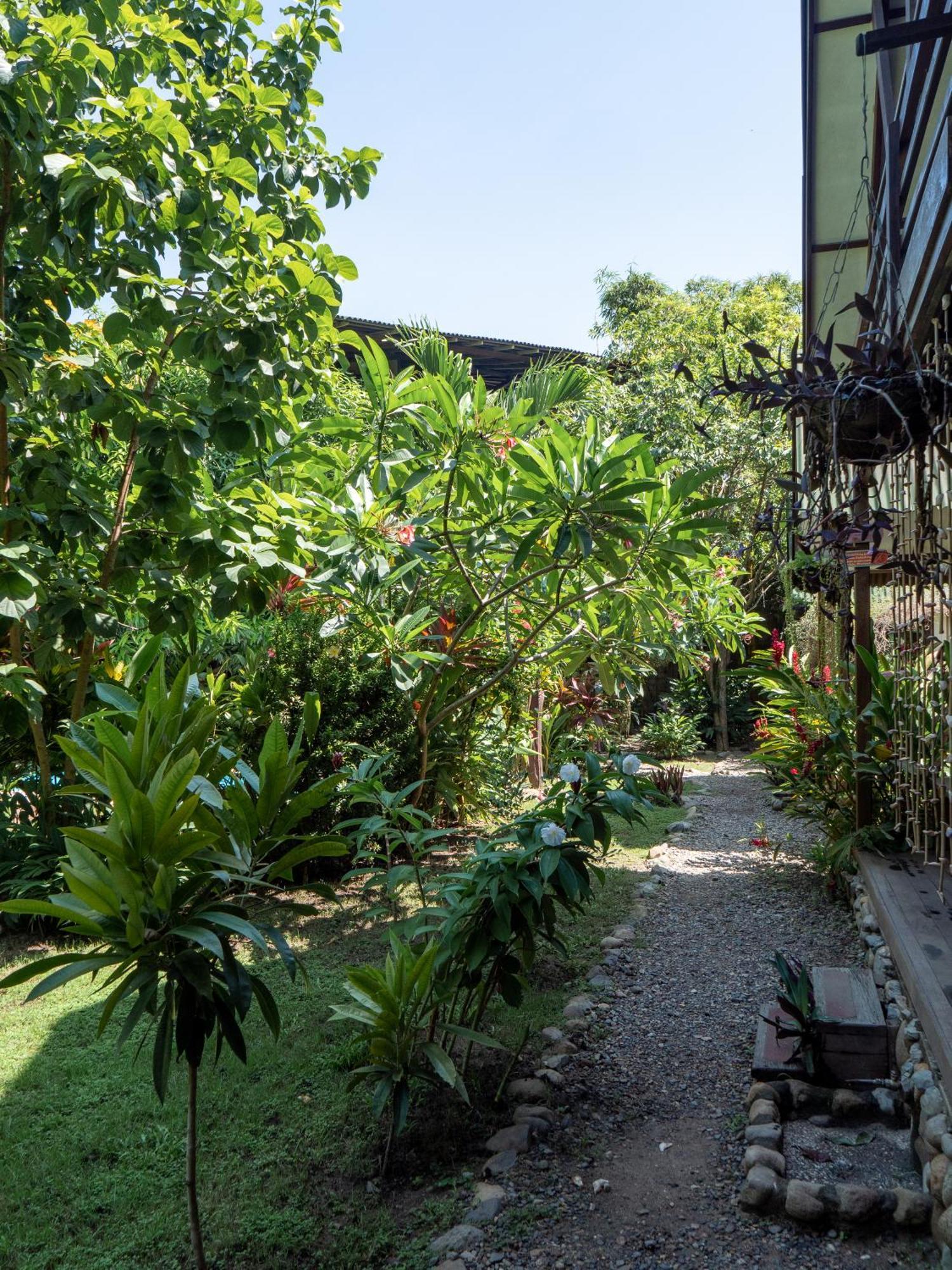 Nuba Boutique Hostel 帕洛米诺 外观 照片