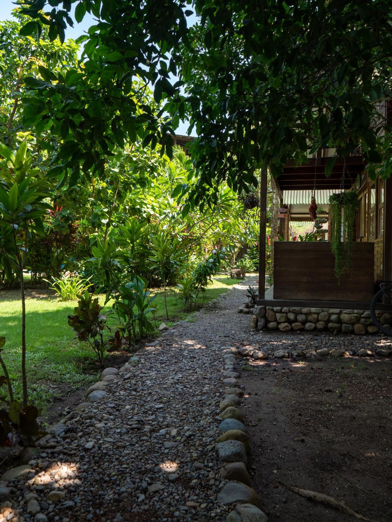 Nuba Boutique Hostel 帕洛米诺 外观 照片