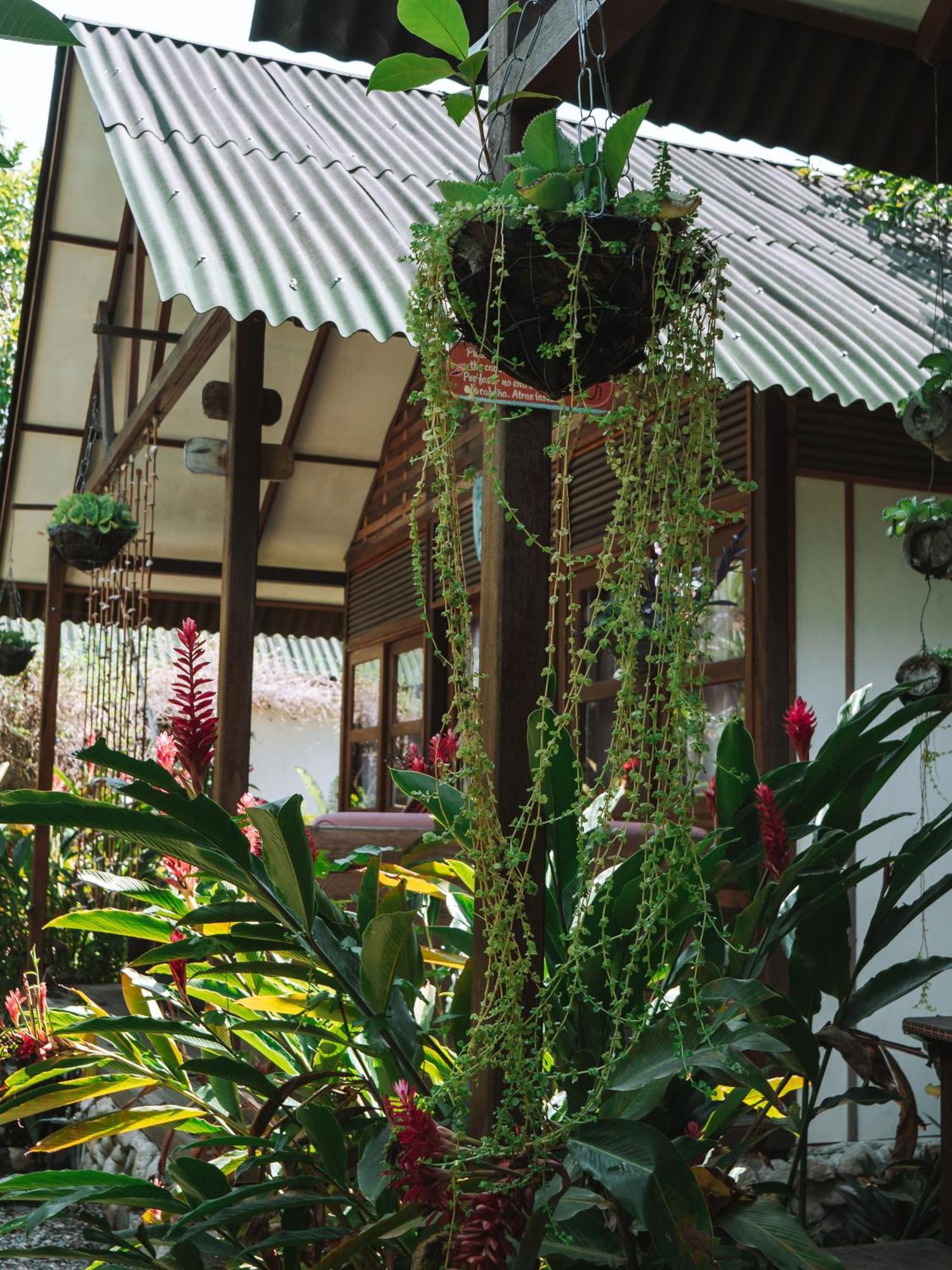 Nuba Boutique Hostel 帕洛米诺 外观 照片