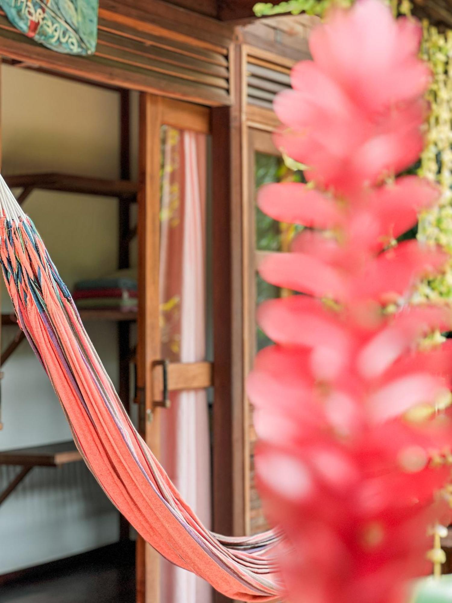 Nuba Boutique Hostel 帕洛米诺 外观 照片