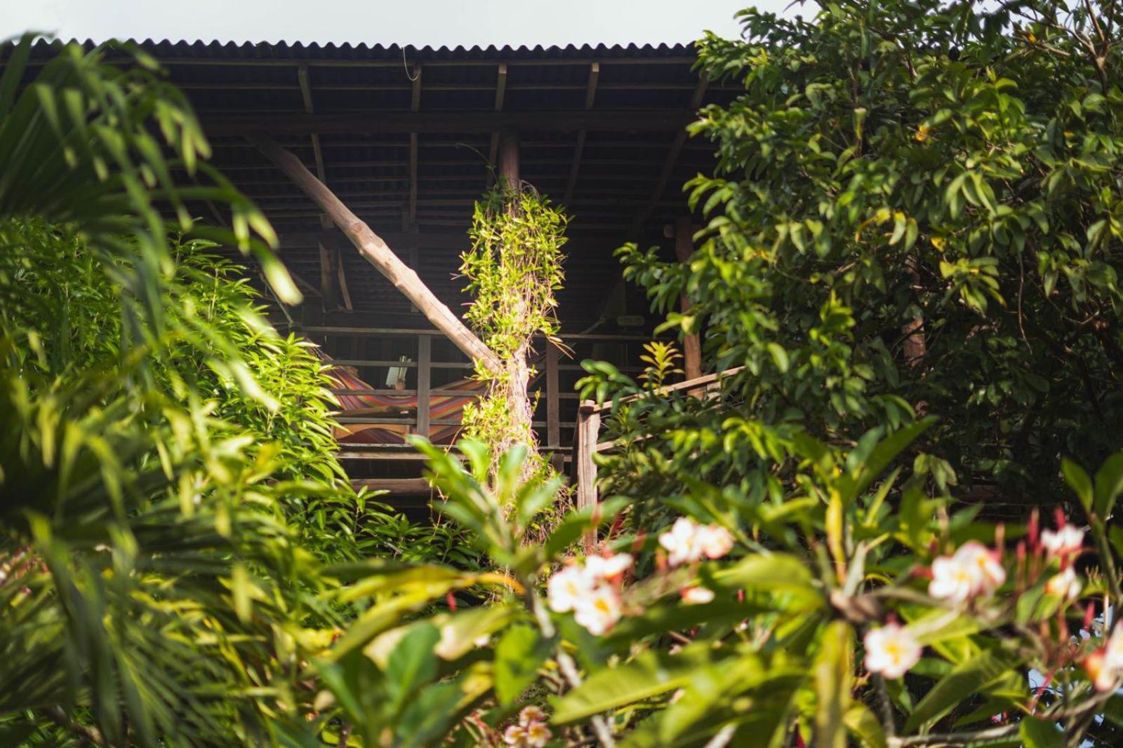 Nuba Boutique Hostel 帕洛米诺 外观 照片
