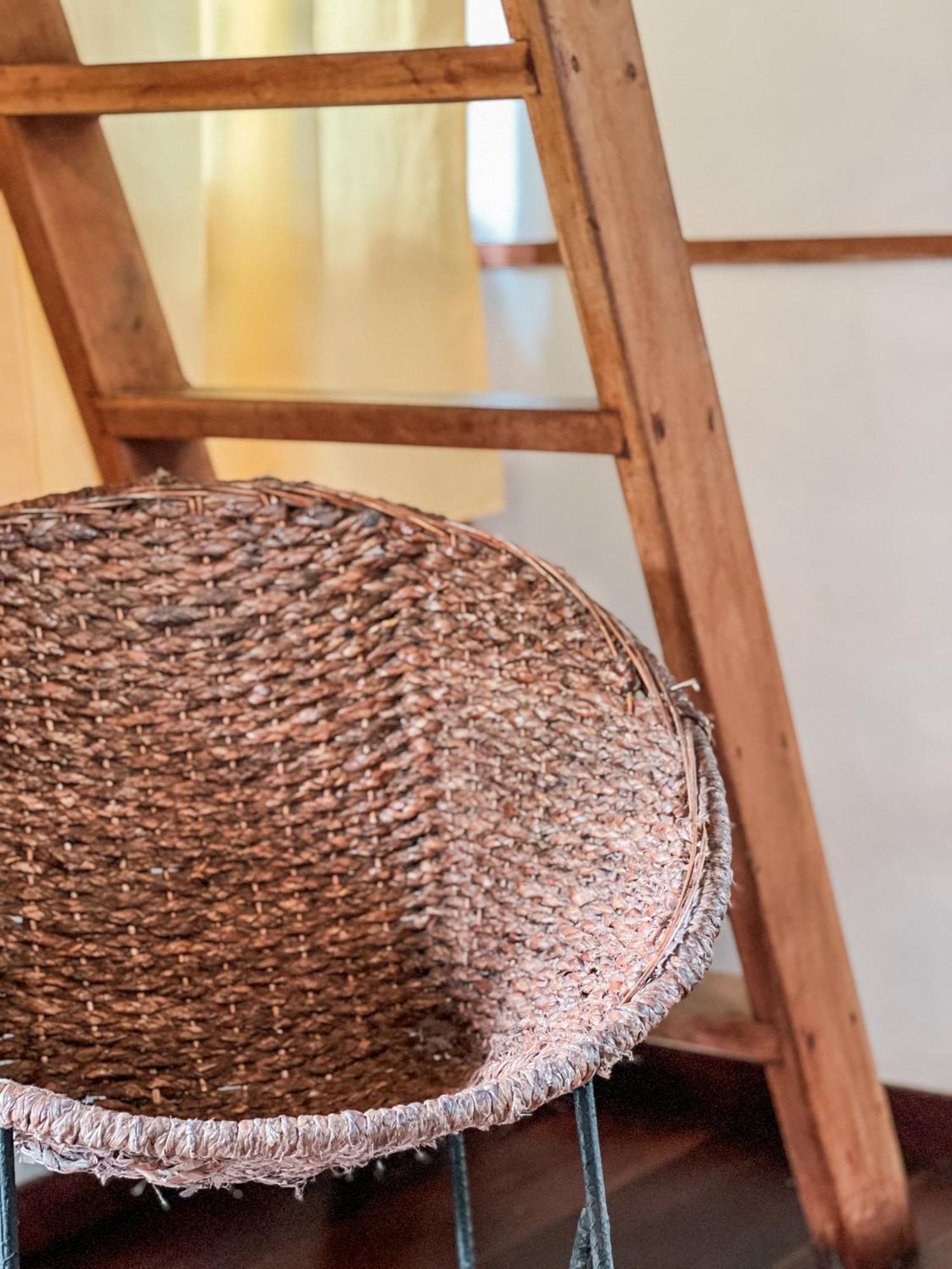 Nuba Boutique Hostel 帕洛米诺 外观 照片